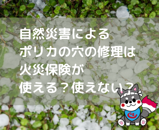 【浜松】浜松でポリカの修理をしたい、そんなあなたへ。その穴、火災保険で直せるかも アイキャッチ画像