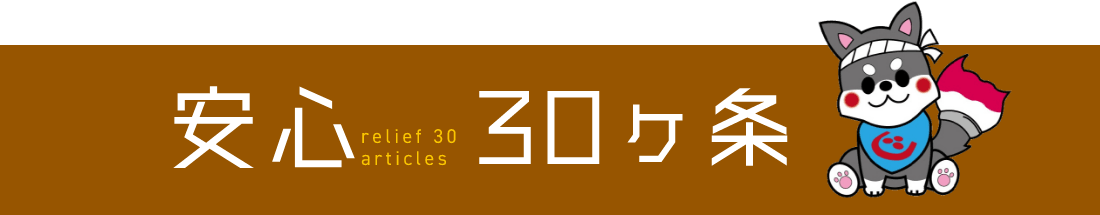 安心３０ヶ条